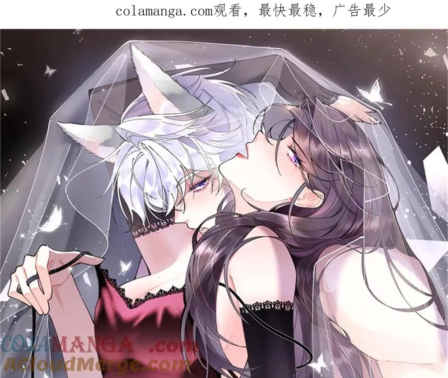 38 怎么不回我消息 第1页