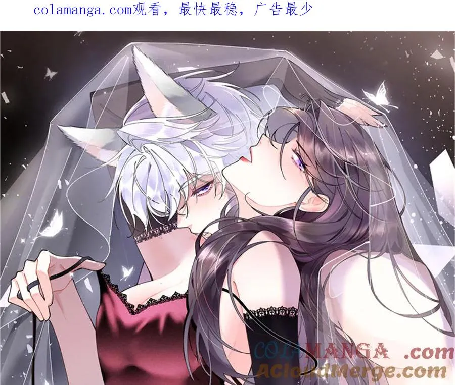 42 又想逃走？ 第1页