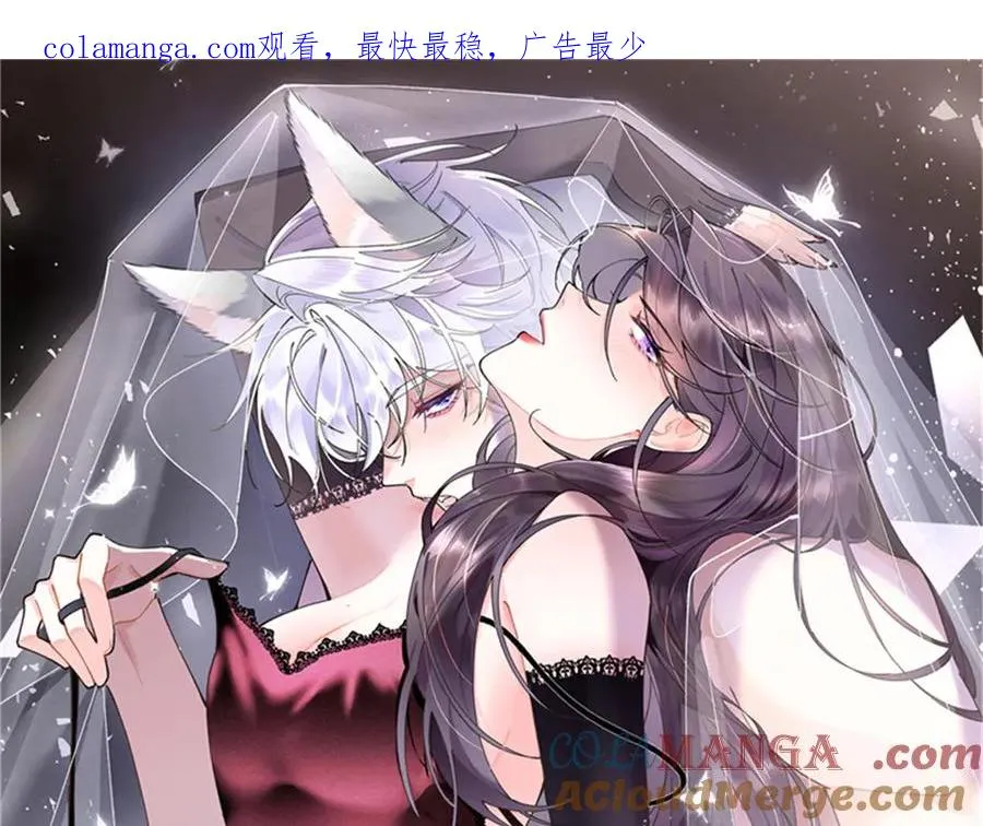 41 离婚了 第1页
