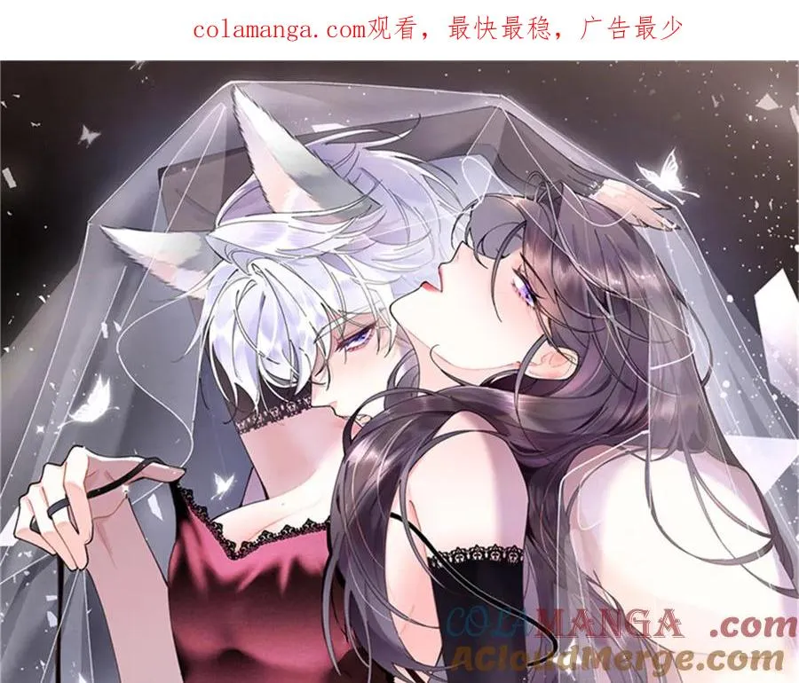 44 同伴绝不是拖累 第1页