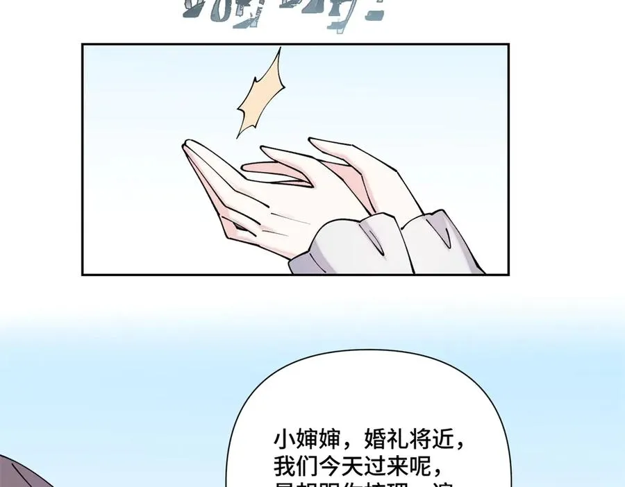 62 是帕拉斯猫猫哦 第26页