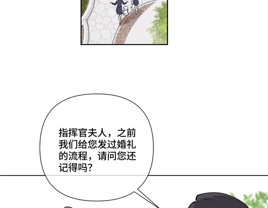 62 是帕拉斯猫猫哦 第38页