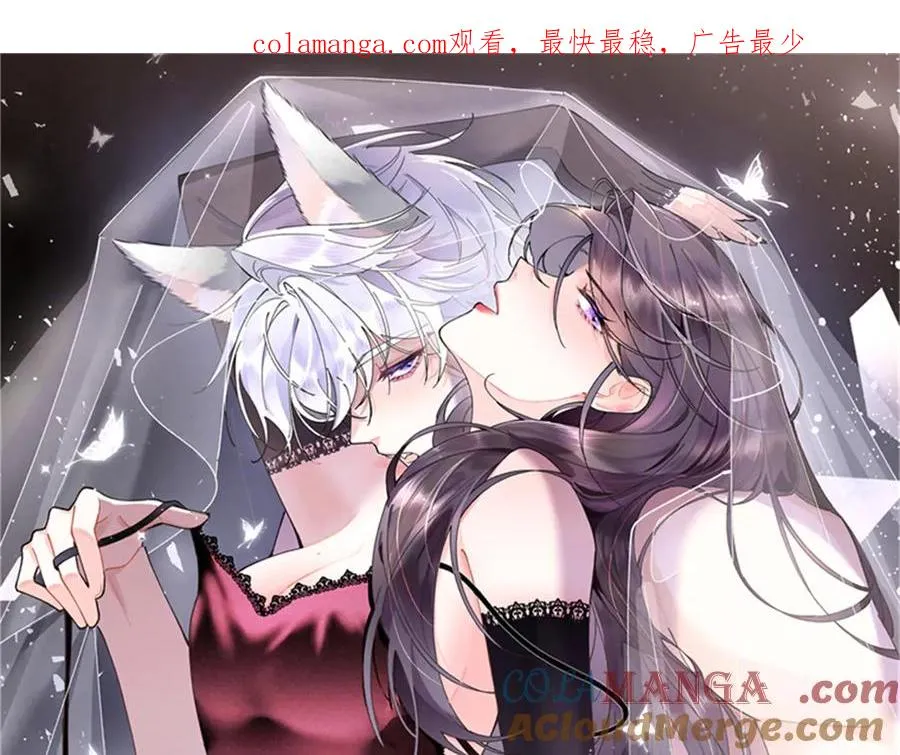 63 他才是我想要的爱情 第1页
