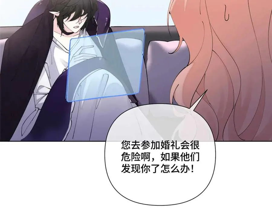 66 去结婚啦 第6页