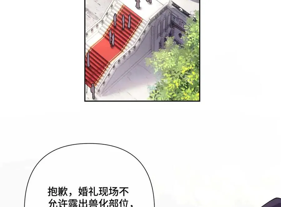 66 去结婚啦 第63页
