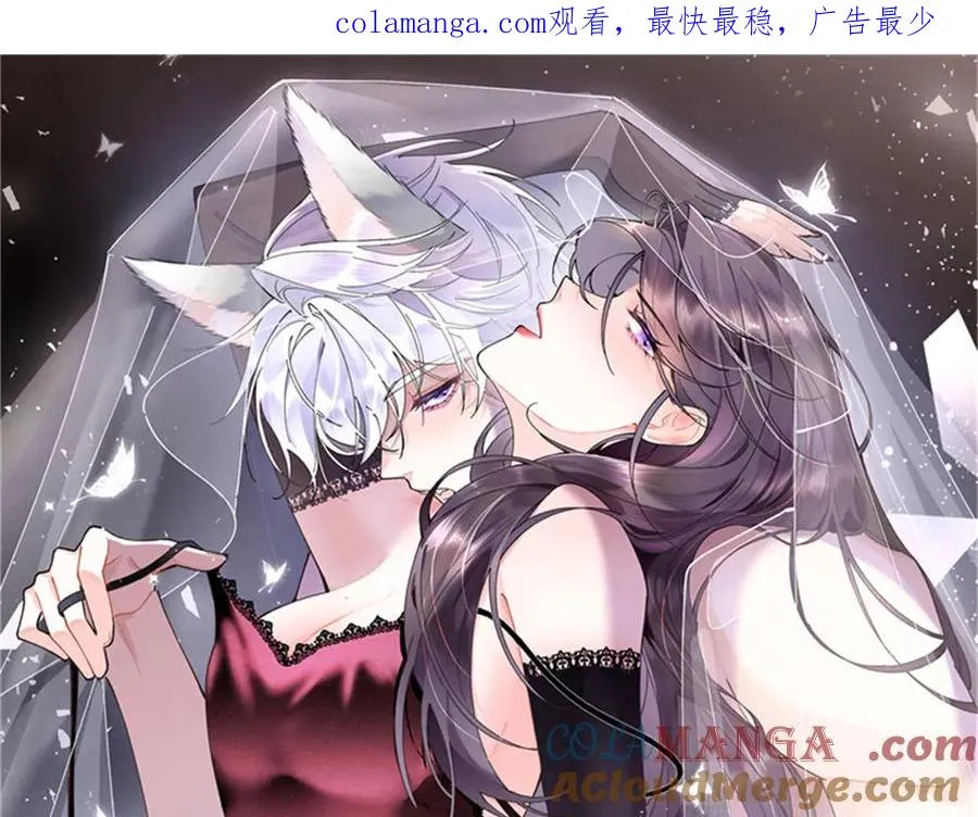 67 新婚快乐 第1页