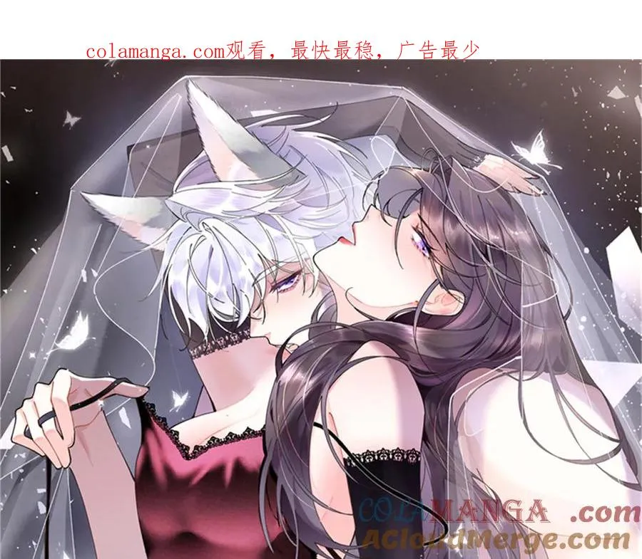 71 看看翅膀 第1页