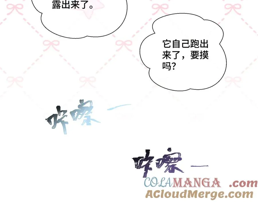 71 看看翅膀 第29页