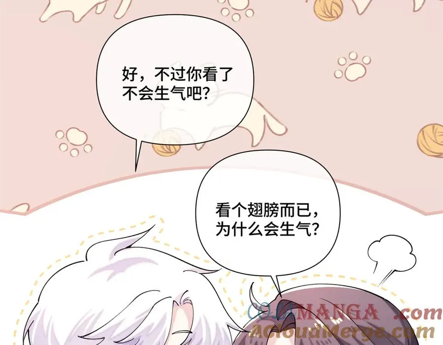 71 看看翅膀 第45页