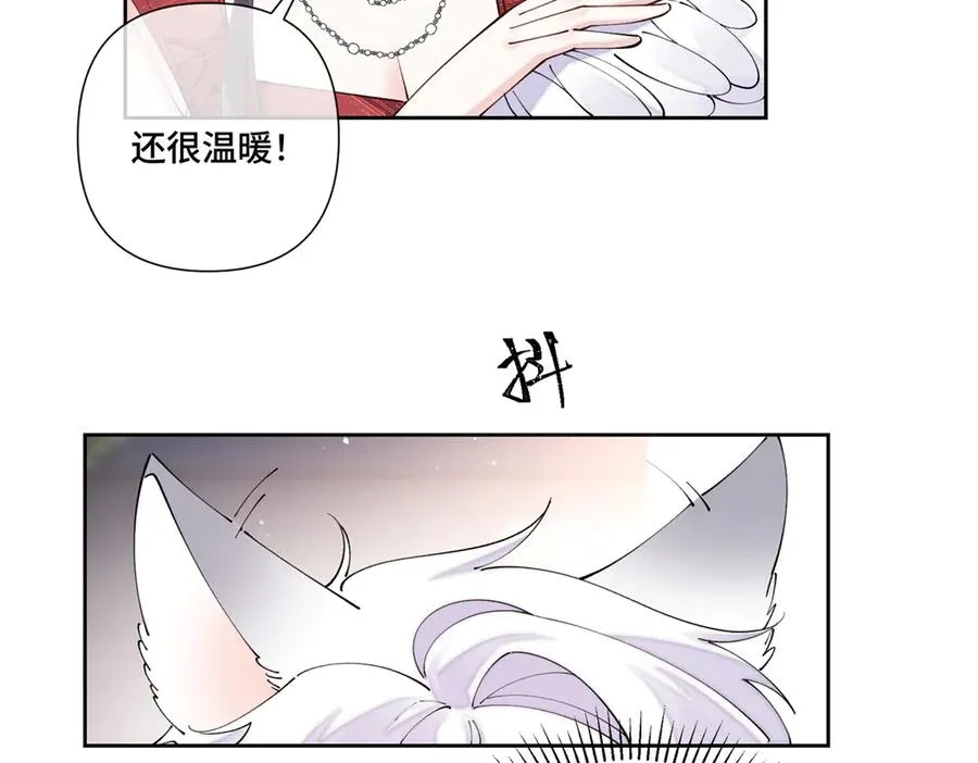 71 看看翅膀 第64页