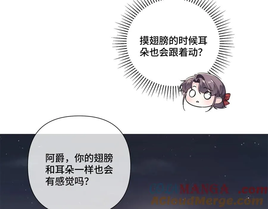71 看看翅膀 第65页
