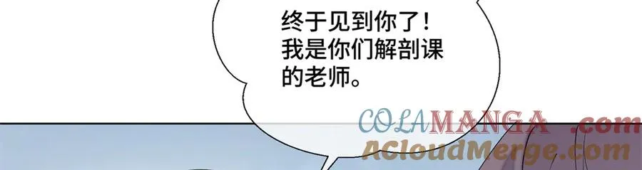 73 可以解剖他么？ 第19页