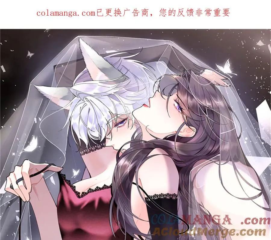 88 转系啦 第1页