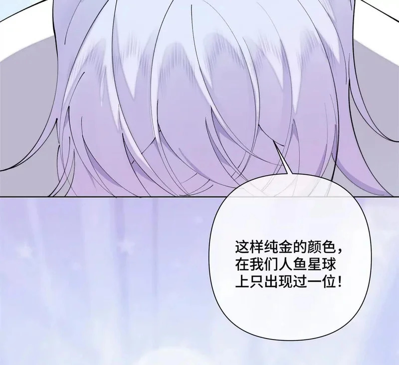 142 金色鳞片 第61页