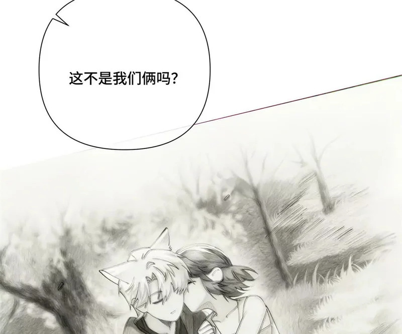 148 难道又是替身文学 第51页