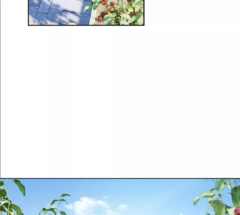 153 人鱼完全体 第72页