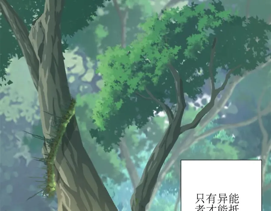 第3话 领域结界 第14页