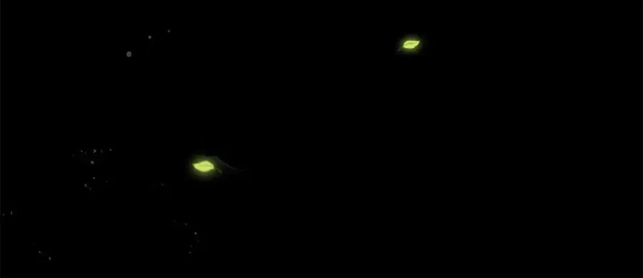 第3话 领域结界 第134页