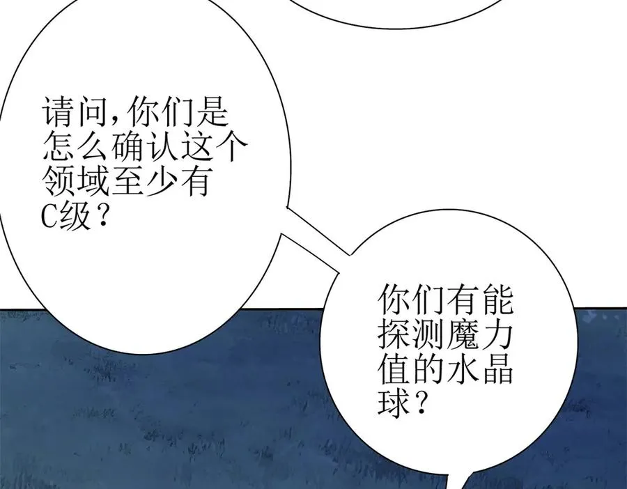 第19话 C级领域 第15页