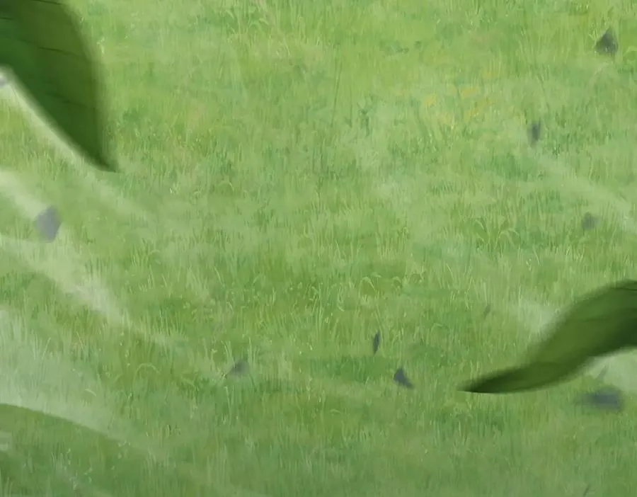 第21话 领域BOSS出现？ 第51页