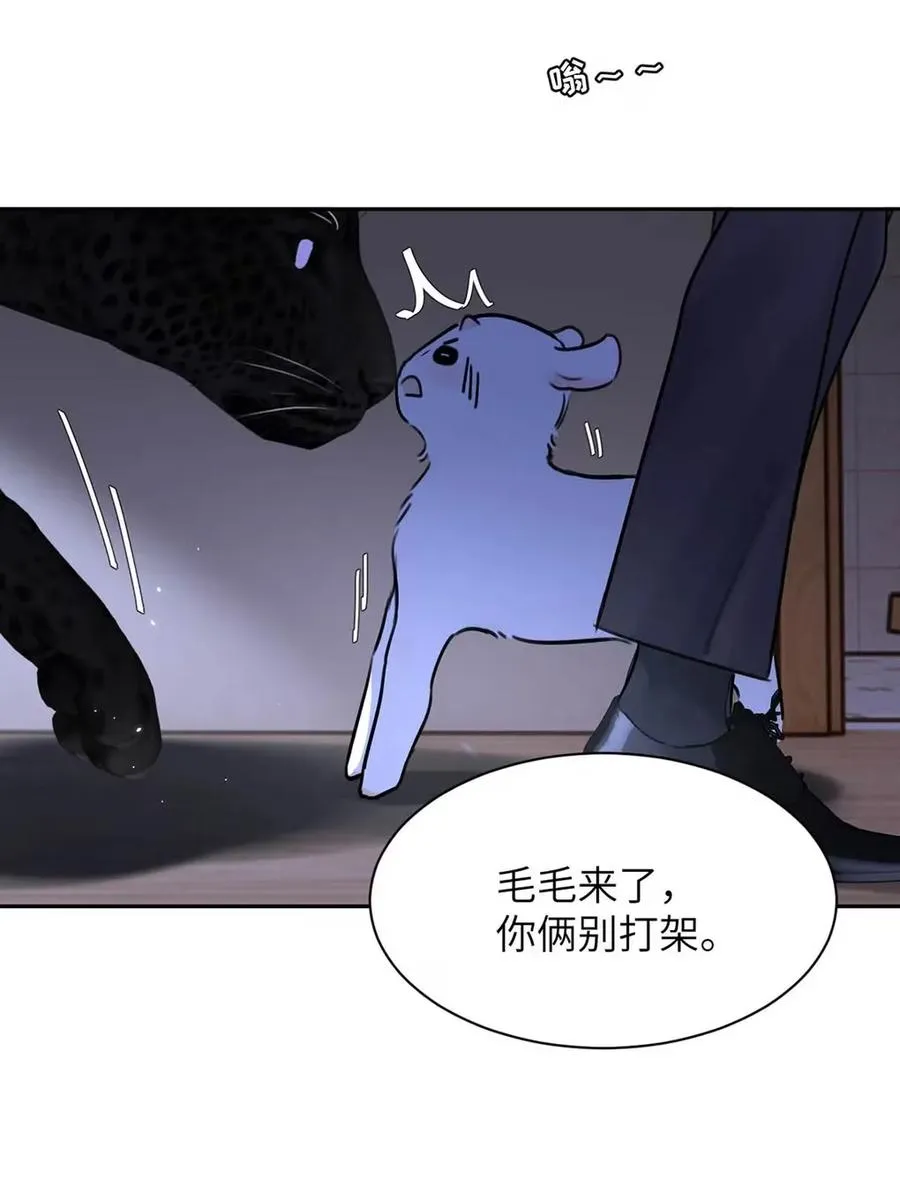 017 那用谁呢？郑嘉？郑言？ 第35页