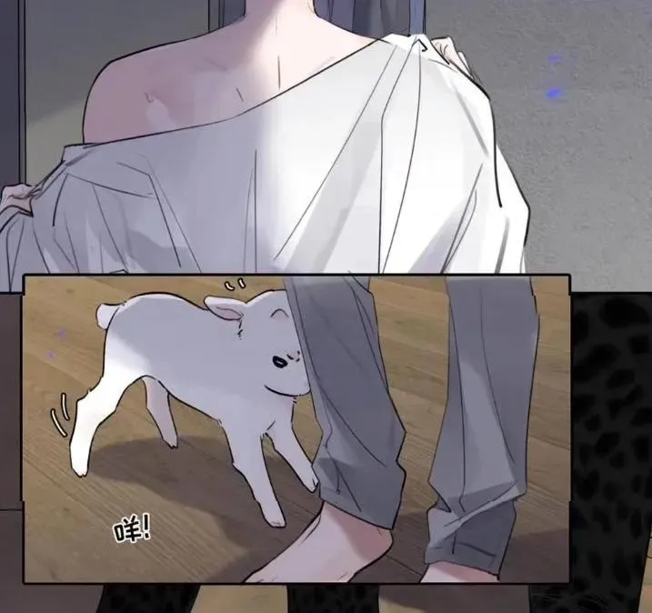 031 提前分化。 第5页