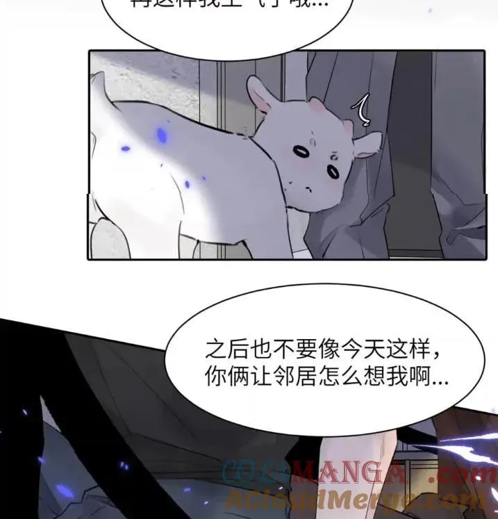 031 提前分化。 第7页
