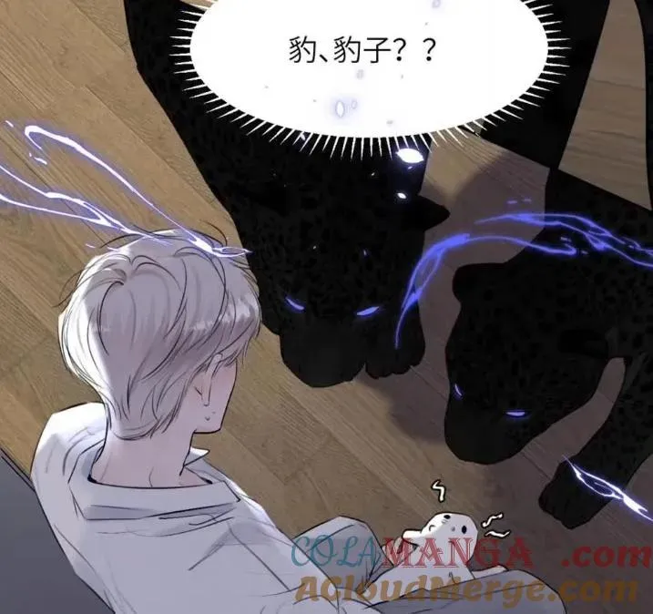 031 提前分化。 第13页