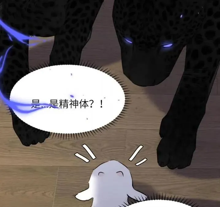 031 提前分化。 第15页
