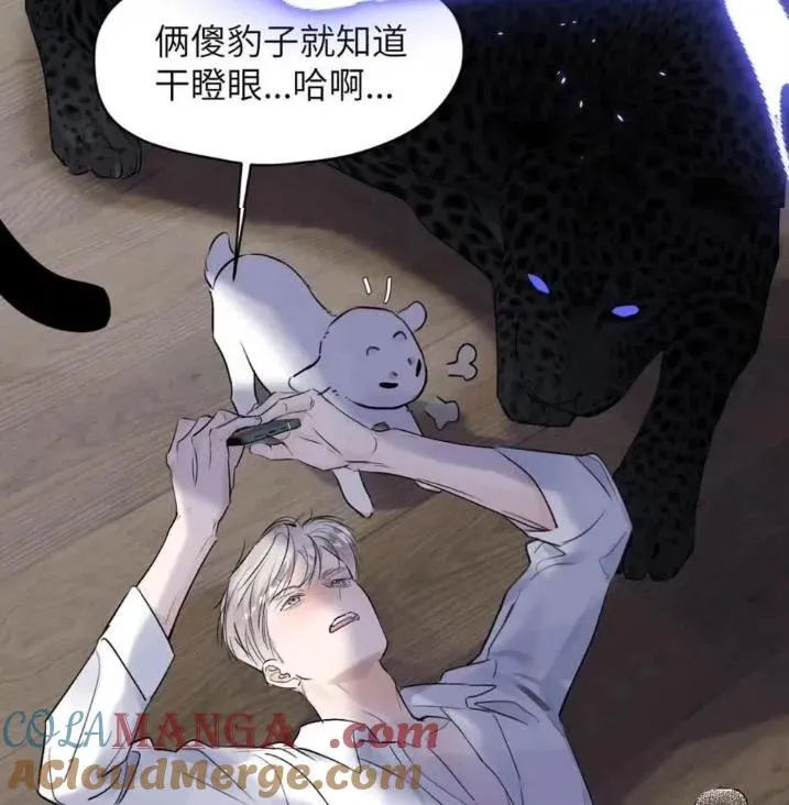 031 提前分化。 第37页