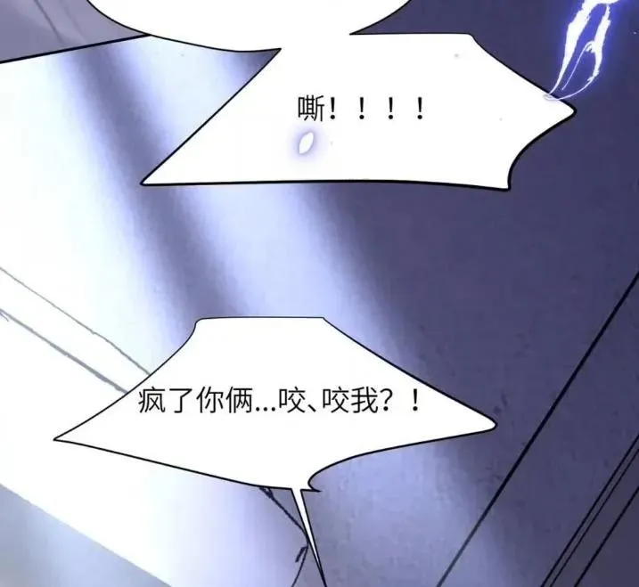 031 提前分化。 第42页
