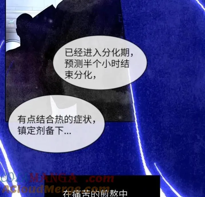 031 提前分化。 第52页