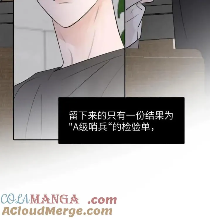 031 提前分化。 第73页