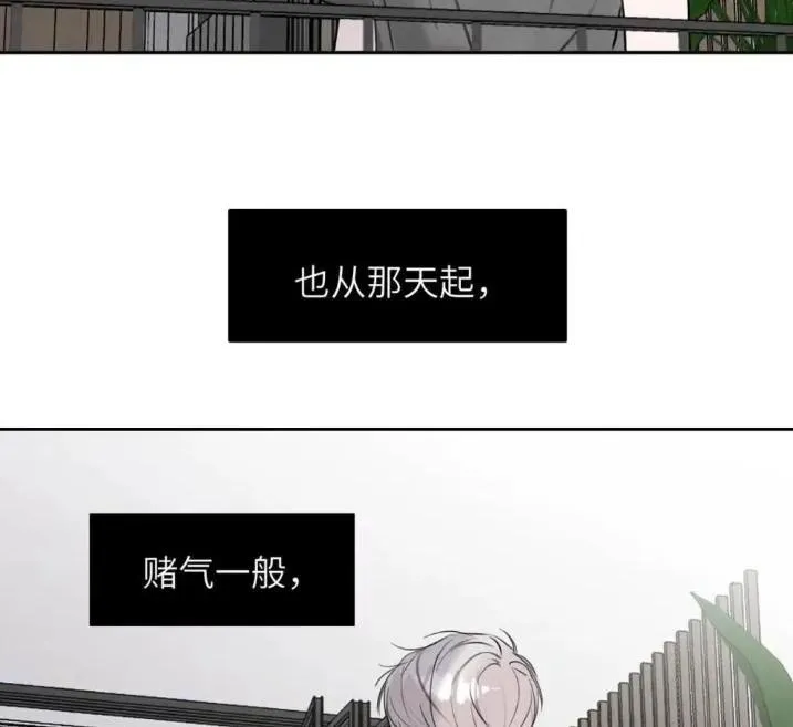 031 提前分化。 第75页