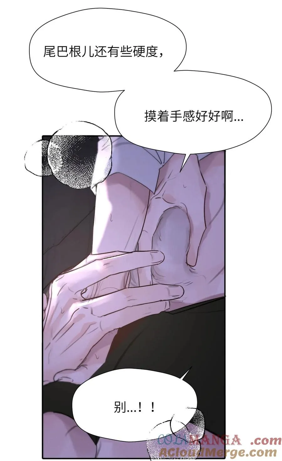 034 还是太小了。 第13页