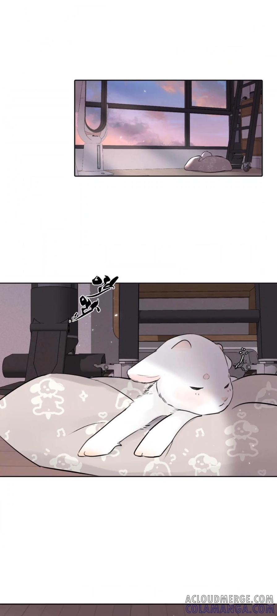 038 是你救了我对不对？ 第4页