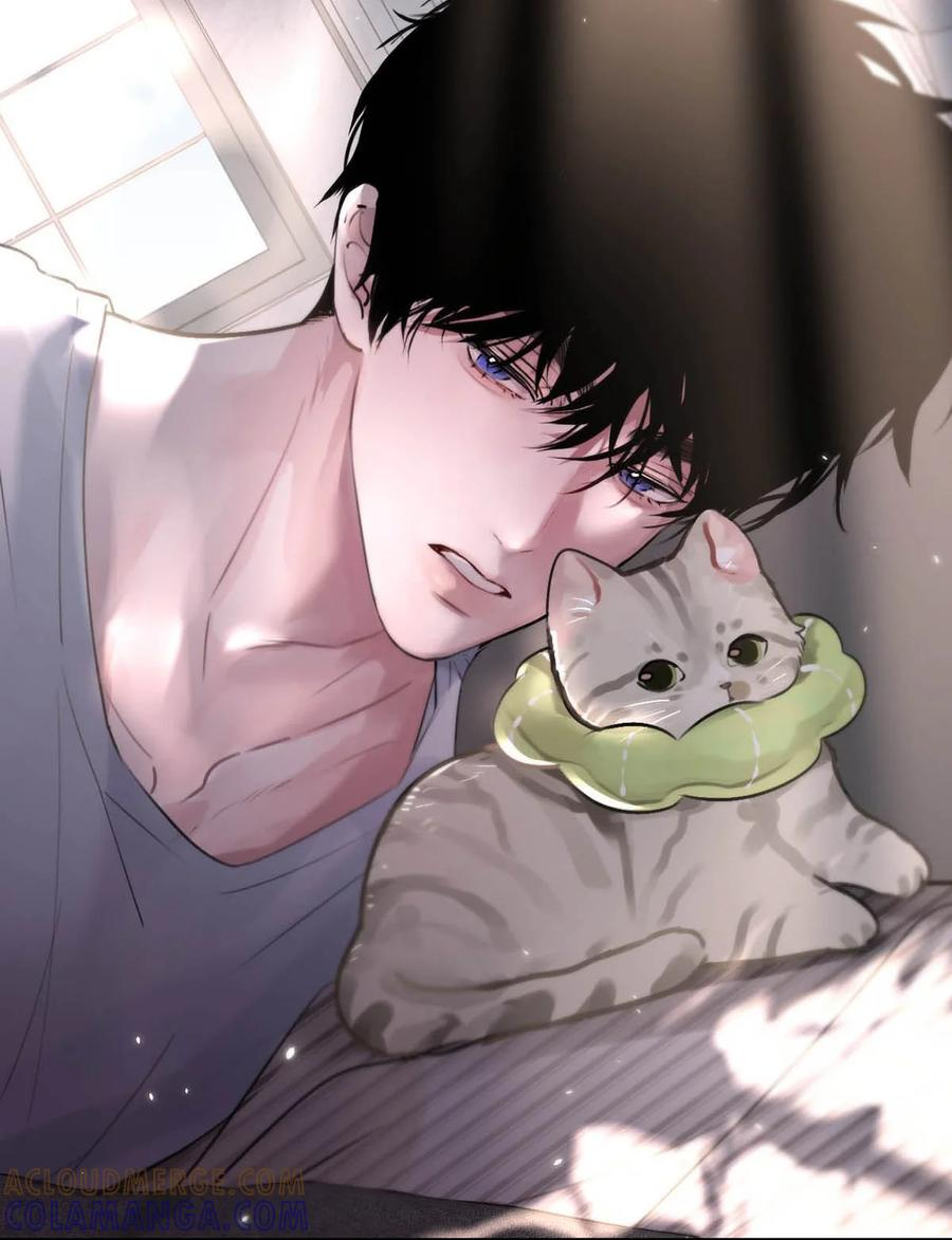 请假小剧场之 捡到一只小猫。 第6页