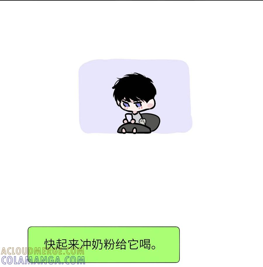 请假小剧场之 捡到一只小猫。 第7页