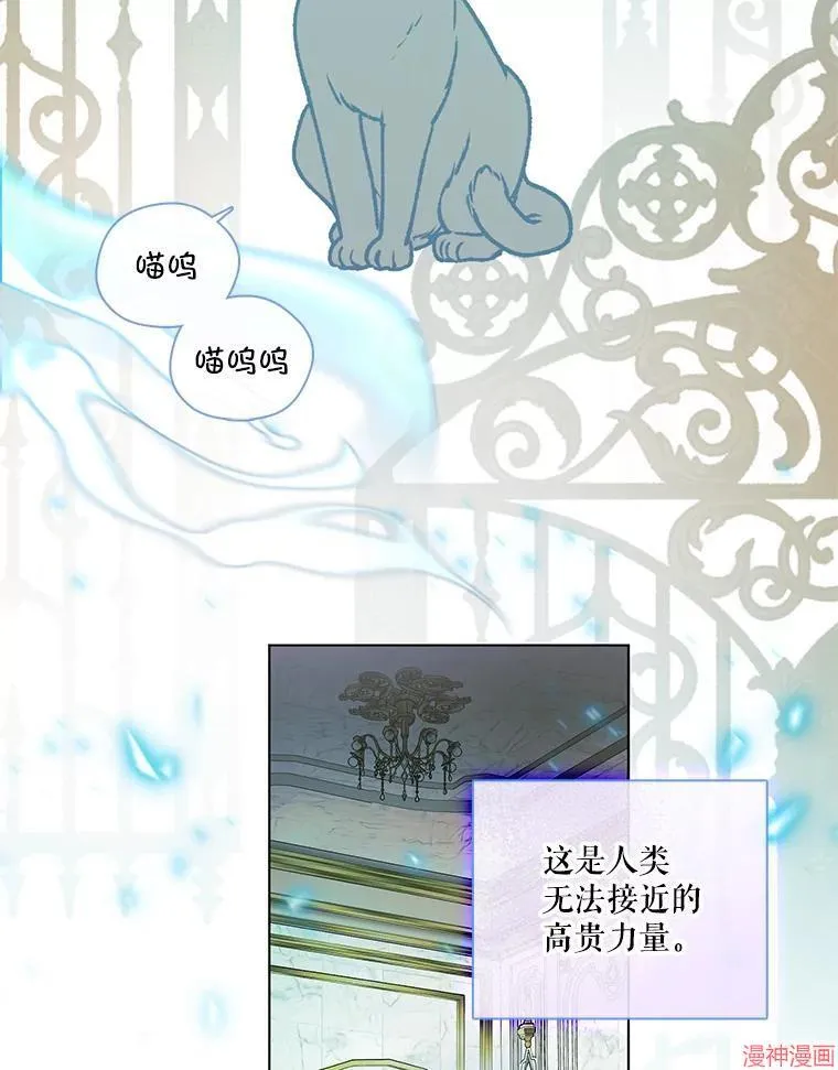 第78话 第65页