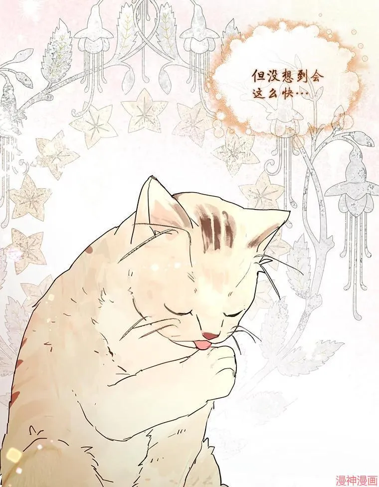 外传17 第35页