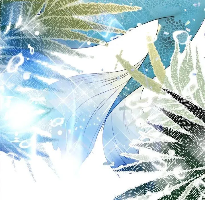 6 第31页