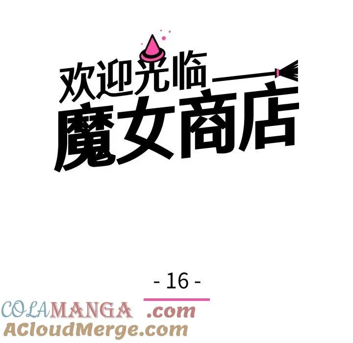 16 第17页