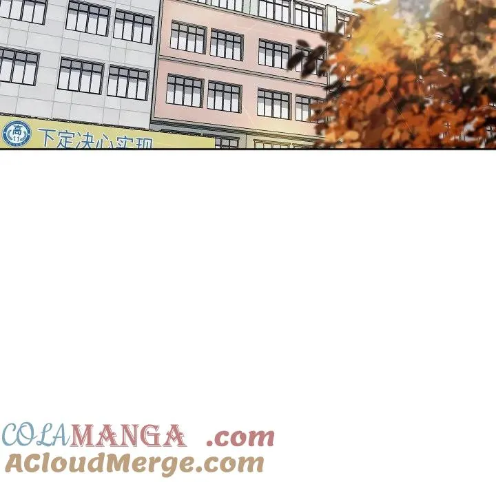 16 第41页
