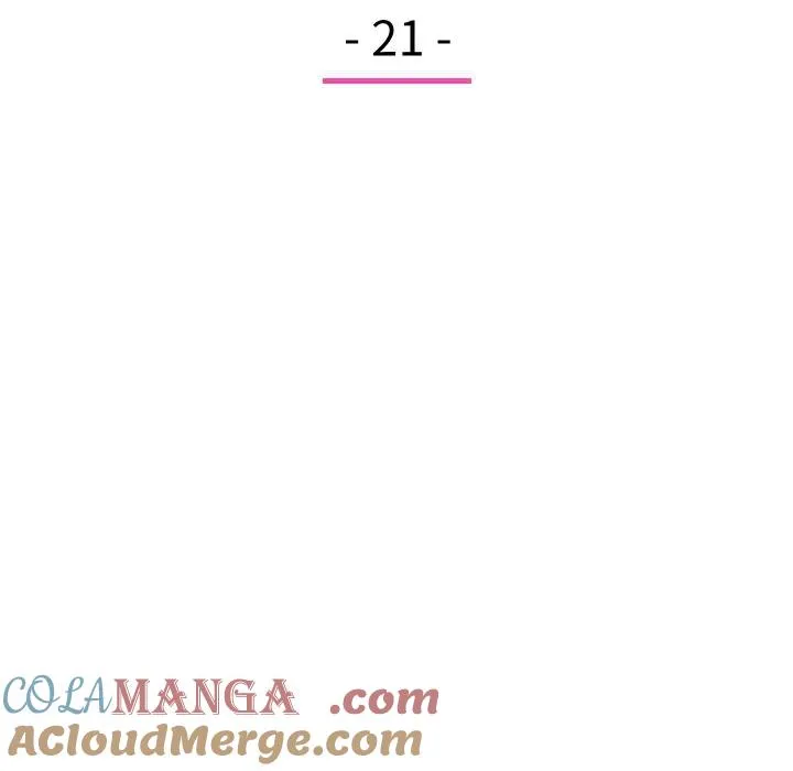 21 第17页