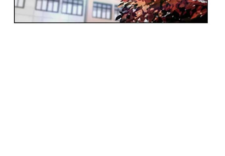25 第3页