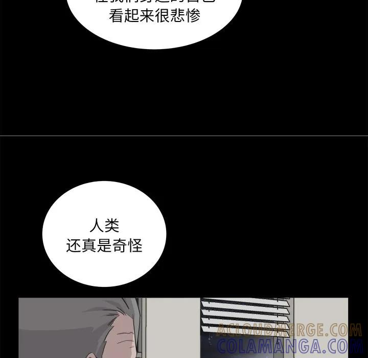 28 第9页