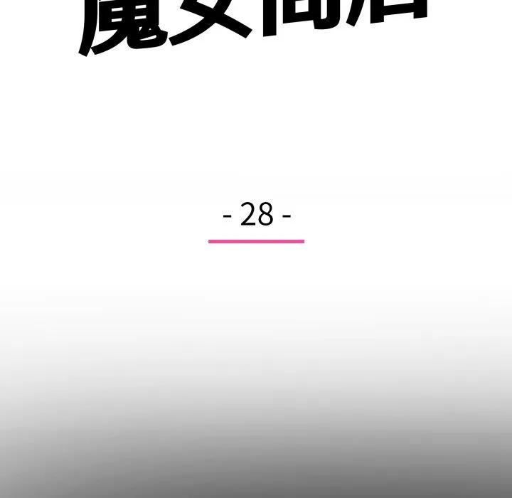 28 第28页