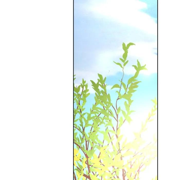 33 第84页