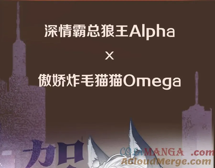 预热！追妻火葬场来了 第4页