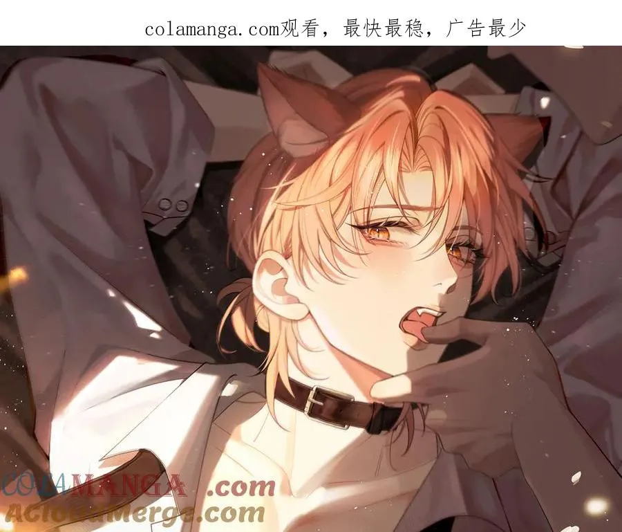 第31话 投喂猫猫 第1页